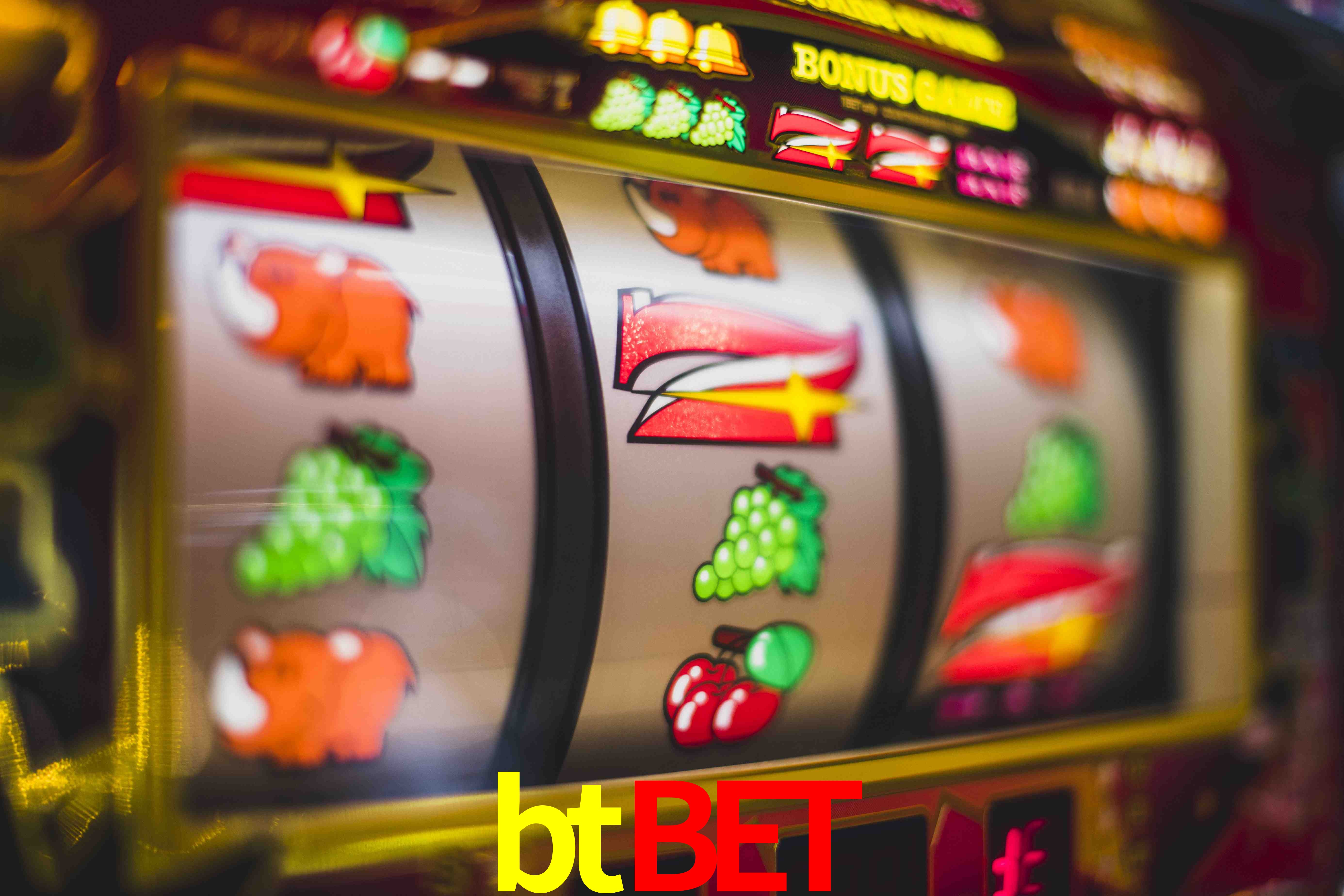 Statistics btbet