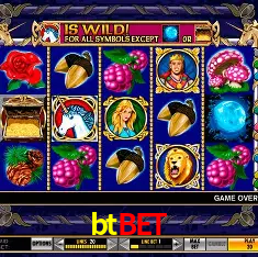 btbet Rio de Janeiro - Bonus Terms
